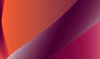 Voices Without Borders How German Translation Services Empower the Global Women’s Rights Movement